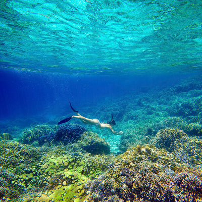 HALVDAG - Snorkelsafari (från Khao Lak)