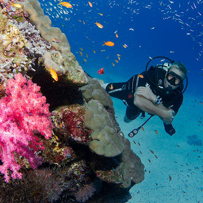 DYKSAFARI 7 dagar / 6 nätter - Similan, Koh Bon, Koh Tachai, Koh Surin och Richelieu Rock